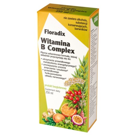 Floradix Doplněk stravy vitamín B complex 250 ml