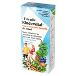 Floradix Kindervital Nahrungsergänzungsmittel 250 ml