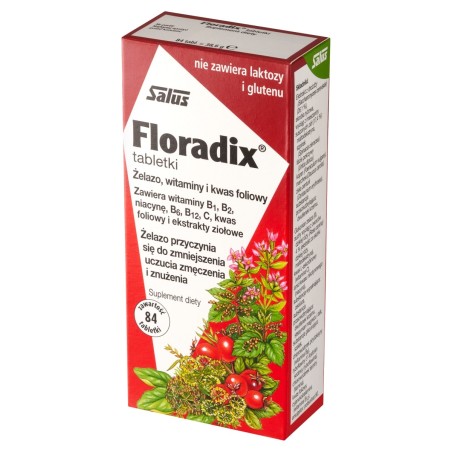 Floradix Suplement diety żelazo witaminy i kwas foliowy 38,6 g (84 sztuki)