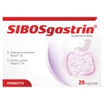 Sibosgastrin Suplement diety 11 g (20 sztuk)