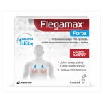 Flegamax Forte 2,7 g x 6 sáčků