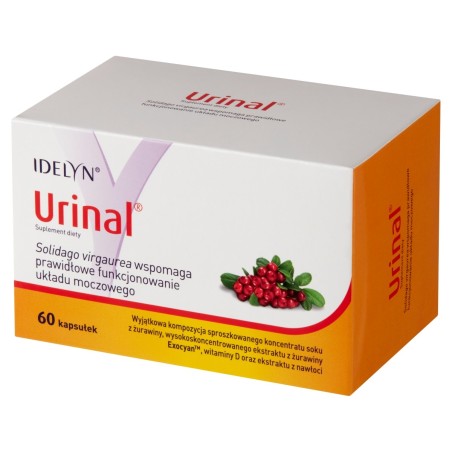 Idelyn Urinal Dietary supplement 46.2 g (60 pieces)