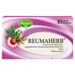 Reumaherb 100 mg Comprimidos recubiertos con película 30 piezas