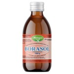 Borasol 30 mg/g Solución cutánea 100 g