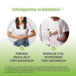 Fibegastrin Suplement diety rozpuszczalny błonnik prebiotyczny 75 g (15 sztuk)