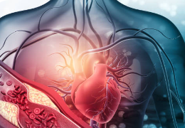 Colesterol: un componente esencial del organismo y un reto para la salud del corazón